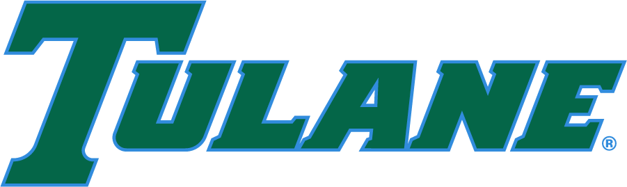 Tulane Green Wave 2017-Pres Wordmark Logo v2 diy iron on heat transfer